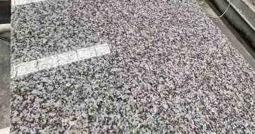 江门 芙蓉白光面