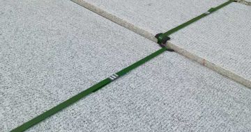 江门 芝麻白斧剁面