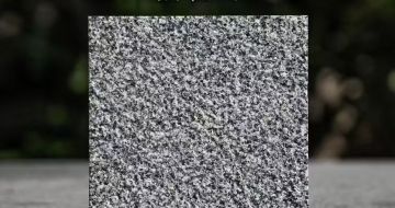 江门 芝麻黑荔枝面