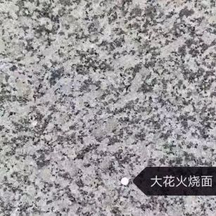 江门 芙蓉白（芝麻白大花）火烧面