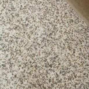 江门 黄金麻中黄光面