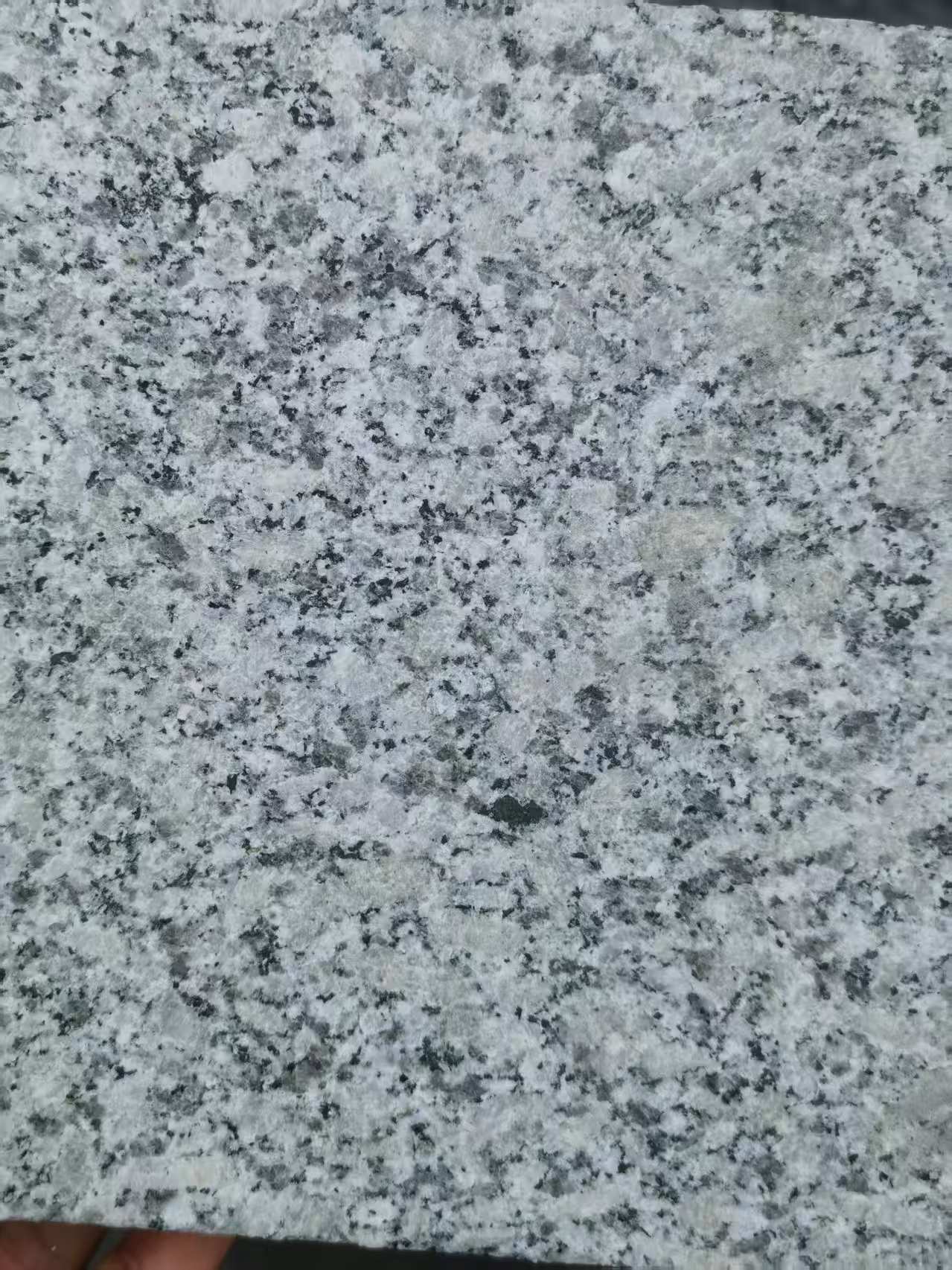 江门 芙蓉白火烧面