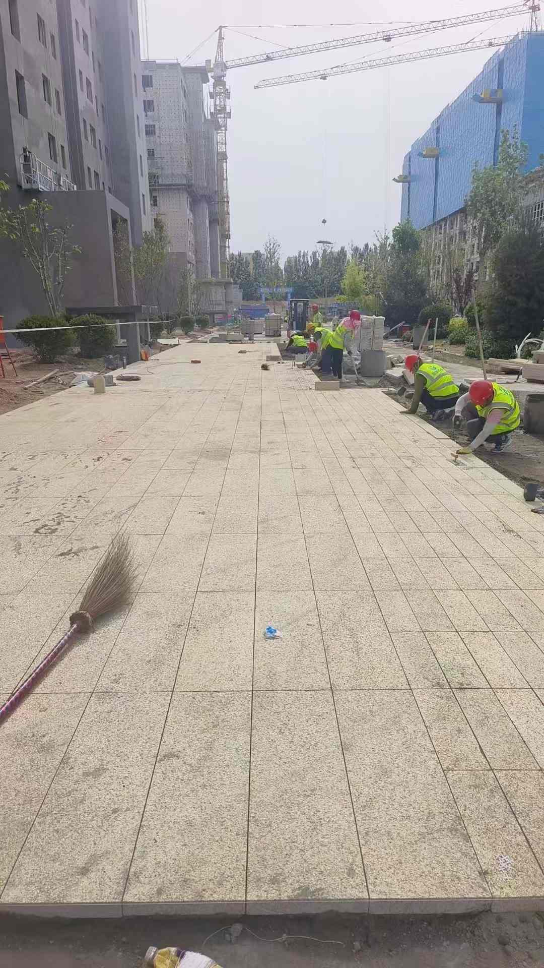 江门黄金麻荔枝面地铺案例