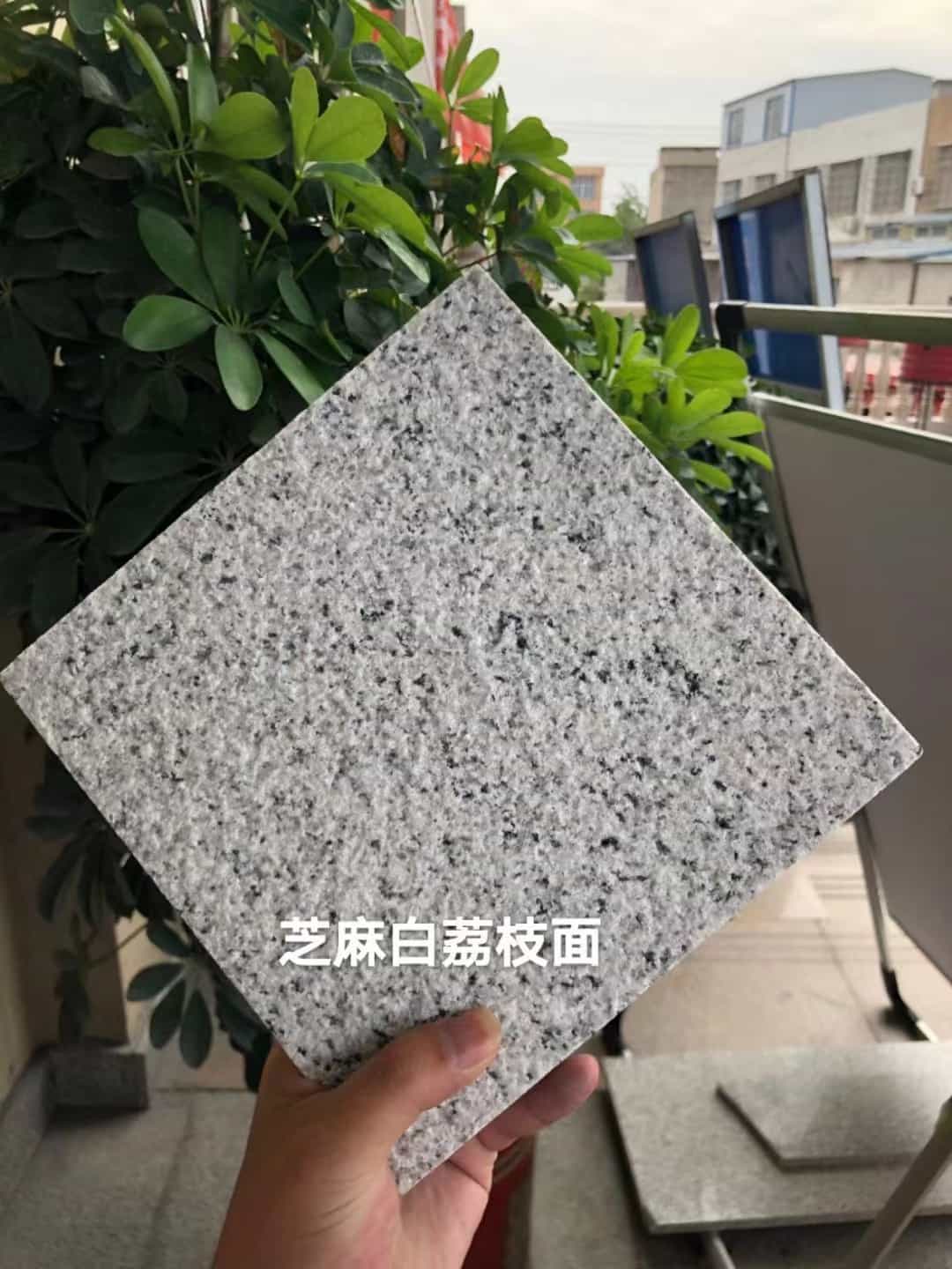 江门 芝麻白荔枝面干挂